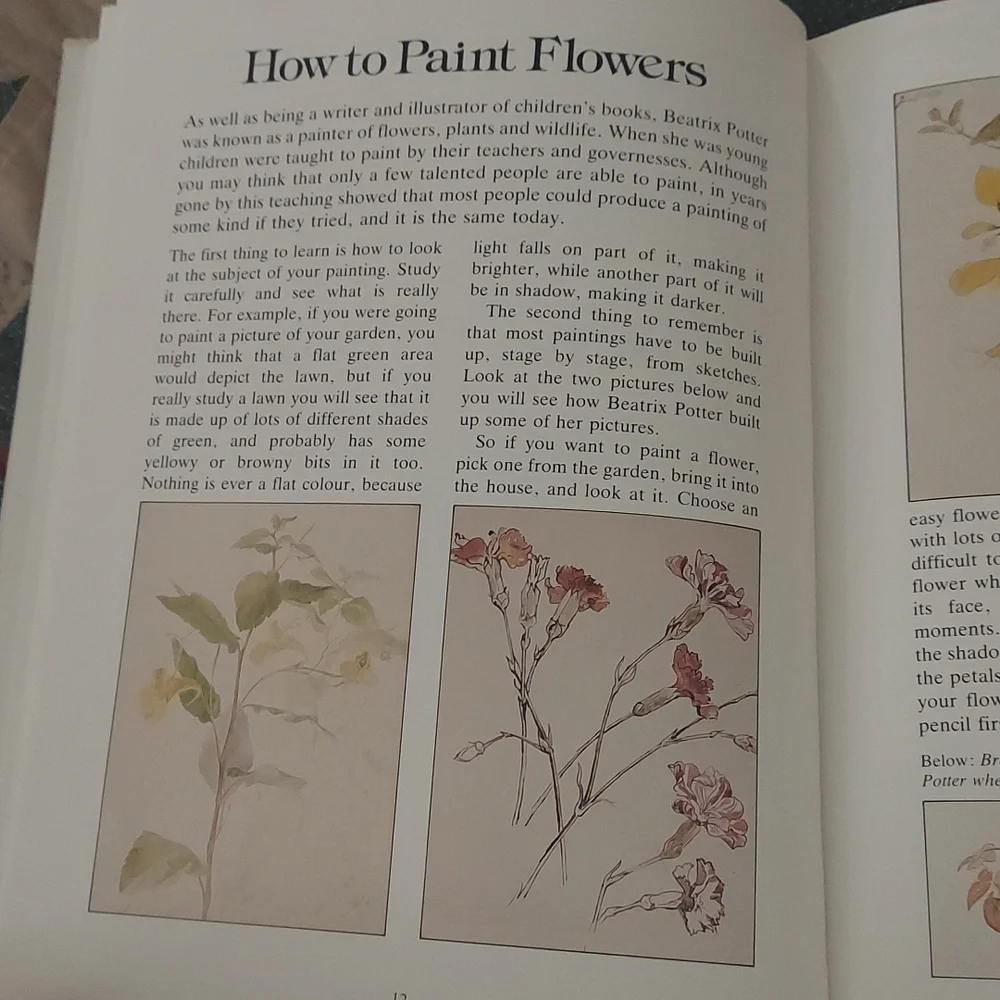 The Big Peter Rabbit Book - Picture 12 of 16